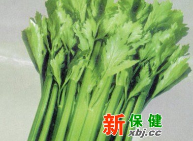治療口臭的食物