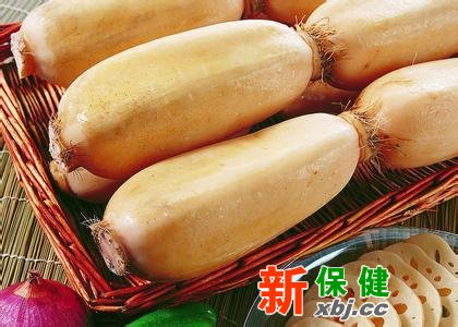 啥藕適合燉湯啥藕適合生食