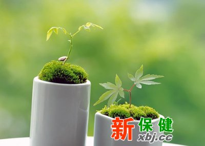 皇帝養生秘訣
